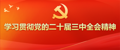 學習貫徹黨的二十屆三中全會精神